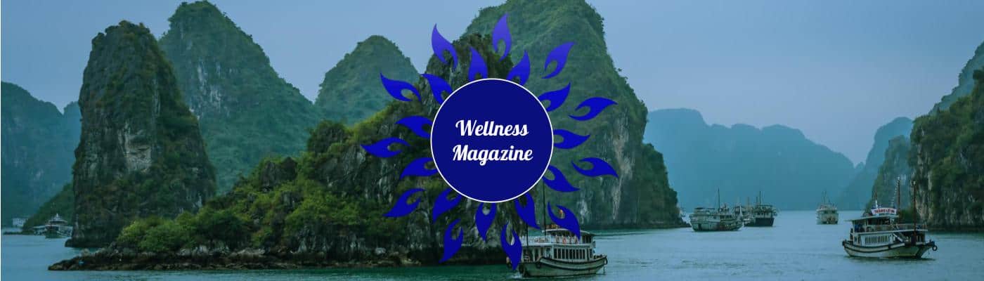 Wellness Magazine
