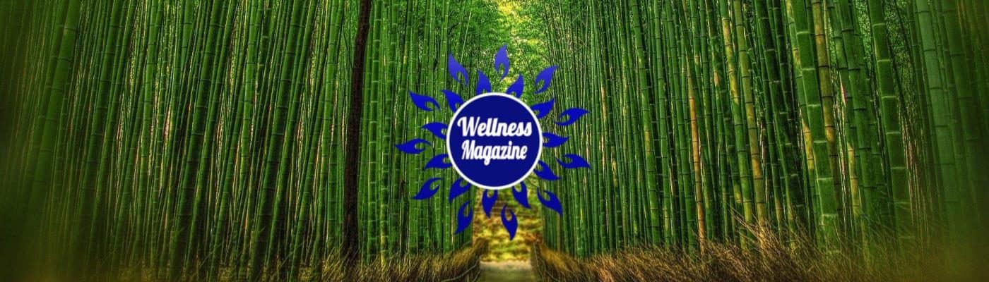 Wellness Magazine